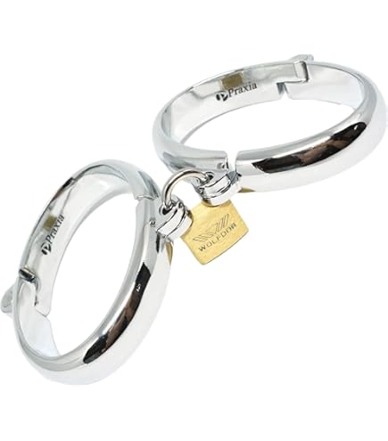 Amazon | [Praxia] 金属製 首輪 施錠 チョーカー (丸面) 【鈴